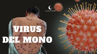 ¿OTRA PANDEMIA El virus del mono [upl. by Einram]