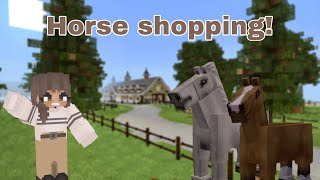 Getting a New Horse  Try Horses With Me  Minecraft Equestrian [upl. by Ailekat]