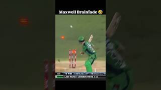 Glenn Maxwell Un Believable Bowled cricket [upl. by Esmeralda]