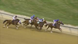 TIMONIUM 08 25 2023 RACE 2 [upl. by Lifton]