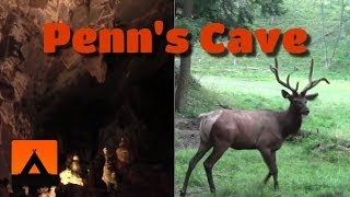 Penns Cave amp Wildlife Park Video Tour  Centre Hall PA [upl. by Mosnar]