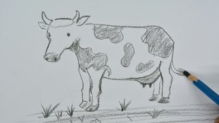 How to Draw a Cow for Kids [upl. by Robison987]