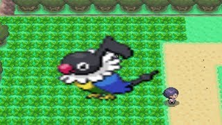 How to find Chatot in Pokemon Diamond and Pearl [upl. by Andrea450]