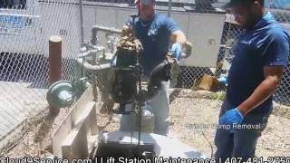 Lift Station Grinder Pump Removal  Lift Station Cleaning Orlando [upl. by Jenette]