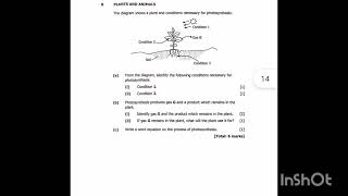 2024 GRADE 9 EXTERNAL EXAM INTEGRATED SCIENCE  PHOTOSYNTHESIS [upl. by Mccreery]