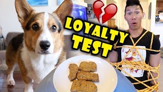 The CORGI Loyal Dog Test 💔  Life After College Ep 613 [upl. by Paderna160]