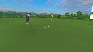 Kapalua Chip In From 24 Yard Out [upl. by Ahsaeit]