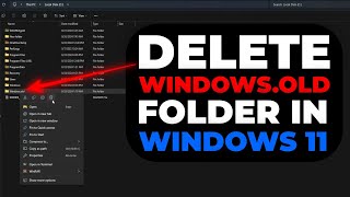 How to Delete Windowsold Folder in Windows 11  Free Up Space Easily [upl. by Nnyleve575]