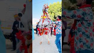 Horse dance Rajasthan wedding chunni me chunni meyoutube horesdance dj hores ytshorts [upl. by Leilamag]