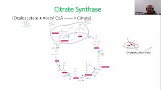 Concept Synthase vs Synthetase [upl. by Nirtiak]