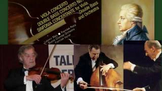 Carl Ditters von Dittersdorf Sinfonia Concertante for Viola amp Double bass Maly Posta [upl. by Adlog768]