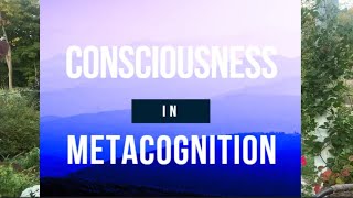 Consciousness in Metacognition [upl. by Nidraj]