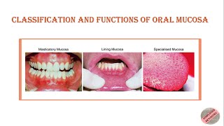 Classification amp Functions of Oral Mucosa Oral Mucous Membrane dental bds dentistry bds [upl. by Cela992]