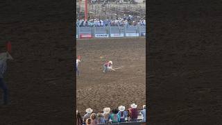 National high school rodeo finals 2024 Goat Tying NHSRA rodeo Competition 🐐 [upl. by Stillmann]