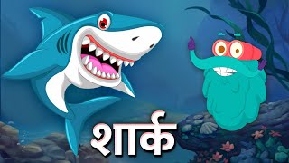 शार्क  मिथ्स बस्टेड  शार्क  Sharks  Myths Busted In Hindi  DrBinocs Show  Binocs Ki Duniya [upl. by Ashlen]