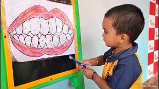 Teeth brushing activity for Dental hygiene [upl. by Lebbie]