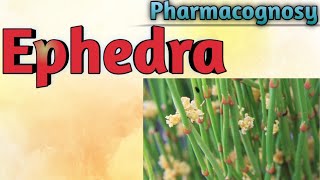 Pharmacognosy of Ephedra [upl. by Ezirtaeb]