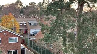 Roof Cleaning in Leighton Buzzard Bedfordshire UK  Great Outdoors Exterior Cleaning [upl. by Melc]