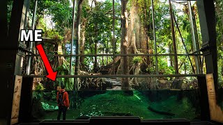 I Visited One of the Largest Indoor Rainforests in the Middle of a City [upl. by Gross176]