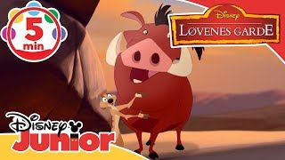 Løvenes Garde  Musikk Sanger fra Savannen 🎶 Disney Junior Norge [upl. by Alyose]