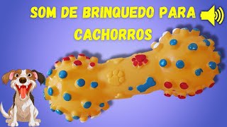 Som de Brinquedo para Cachorro Ouvir e Virar a Cabeça [upl. by Oigroig406]