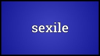 Sexile Meaning [upl. by Horvitz]