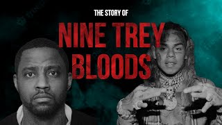 The story of the Nine Treys6ix9ine [upl. by Ier368]