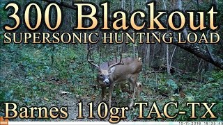 Loading 300 Blackout  ep 6  Initial velocity testing for 110gr hunting loads [upl. by Yrrep]