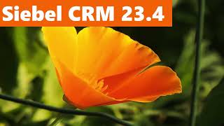 Siebel CRM 234 Update Summary  What Year is it [upl. by Yziar172]