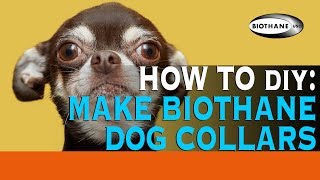 How to Make a BioThane Dog Collar [upl. by Yddeg]