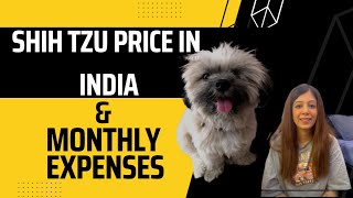 Shih tzu dog price in India 2022 and monthly expenses shihtzu dogvlog [upl. by Ern216]