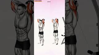 Triceps Variations Cable vs Dumbbell 💪✨fitness challenge [upl. by Richmal]