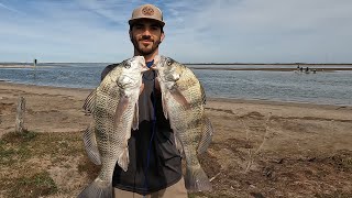 Packery Channel Fishing  Catching Black Drum for Dinner [upl. by Kiryt]