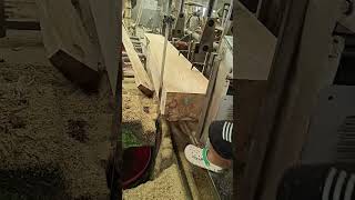 Daily work process in the wood workshop views woodcutting dailywork [upl. by Kiyoshi]