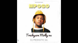 Mpogo ft DJ Promatic SA [upl. by Willetta]