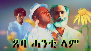 Abera Beyene  Tseba Hanti lam  Eritrean Tigrigna Music 2020 [upl. by Mendes]