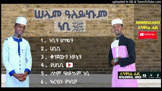 ያ ሀቢቢ  YA HABIBI  AMIR HUSSEN amp SELHADIN HUSSEN iNayaRecords [upl. by Arag258]