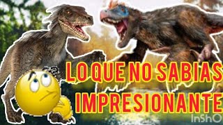 datos y curiosidades del velociraptorel dinosaurio mas inteligente y veloz del mundo😮🤔🦖🦕 [upl. by Aryn]