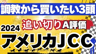 【2024】AJCCの追い切り評価です。A評価3頭とB＋評価4頭の馬を紹介します。皆様のアメリカジョッキークラブカップの競馬予想にお役立てください。 [upl. by Elad]