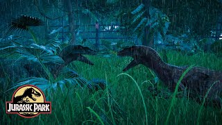 Relax with the sound of rain in the forest  Jurassic World  Dinosaur and Forest Sounds  TRex [upl. by Assirem]