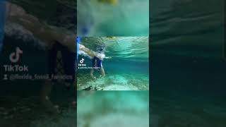 Homosassa Springs Snorkeling [upl. by Akinehc157]