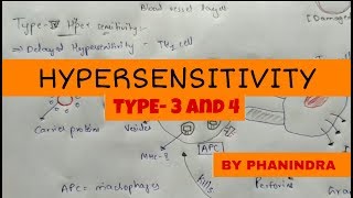 Hypersensitivity Type  3 and Type  4 [upl. by Pearce69]