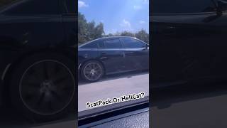 ScatPack Or HellCat 👀 Debadged srt392 srt8 like subscribe whichoneisbest comment [upl. by Netsrejk]