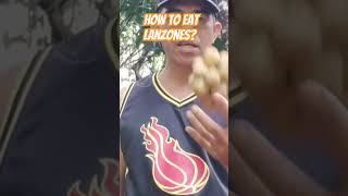 HOW TO EAT LANZONES LONGKONG VARIETY BUHAY PROBINSYA [upl. by Rafi]