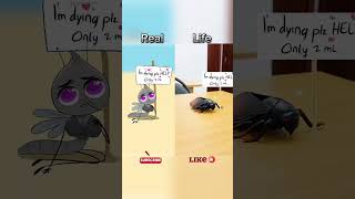 POV SAVING MOSQUITO video parody of drawforfunyt robloxedit roblox memes funny [upl. by Jessamyn]