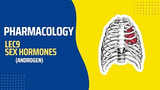 Pharmacology Lec9 androgens  Sex hormones  صيدلة م4ك2 [upl. by Atteuqihc]