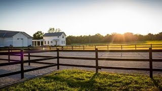 Buckley Steel Board Horse Fence [upl. by Dollie419]