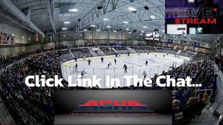 Colorado College vs United States Air Force Academy MD3   ACHA Mens Hockey 2024 [upl. by Noivax694]