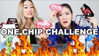 ONE CHIP CHALLENGE 2020 SHE BLED 😱 [upl. by Eeliab]