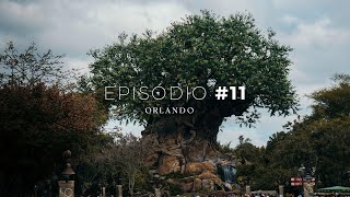 Episódio 11  Animal Kingdom e o brinquedo tsunami  NOVA YORK amp ORLANDO [upl. by Zenas65]